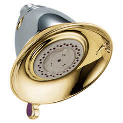 Click here to see Delta RP34355CB Delta RP34355CB Delta Touch-Clean 3-Setting Showerhead (Chrome/Polished Brass)