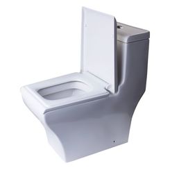Click here to see Eago TB356 EAGO TB356 One-Piece Elongated Toilet - White