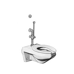 Click here to see Sloan 3017323 Sloan Royal BPW 1020-3.5-4-3/4-LDIM-L3 Exposed Manual Specialty Water Closet Bedpan Washer Flushometer (3017323)