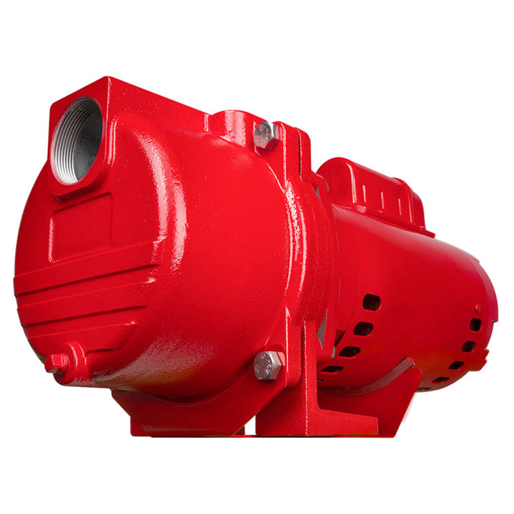 Red Lion 97102001 RL-SPRK200 2 HP Sprinkler Pump ...