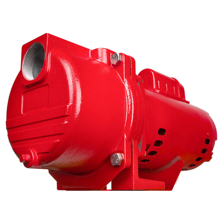 Red Lion 97102002 RLSPRK200BR 2 HP Sprinkler Pump PlumbersStock