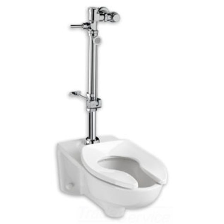 American Standard 6047.861.002 American Standard 6047.861.002 Toilet Flush Valve