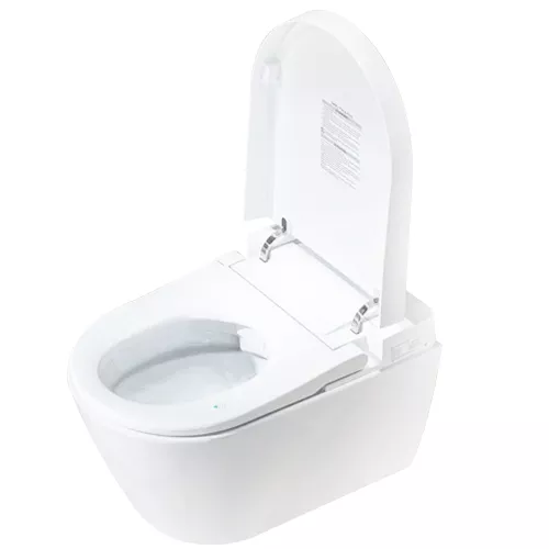 Bidet Toilet Combinations, Toilet Bidet Combos