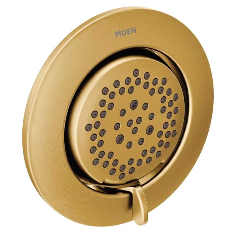 Moen TS1422BG Mosaic Body Spray, Brushed Gold eBay